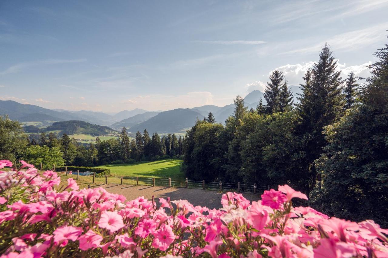 Familienbauernhof Samerhof Pfarrwerfen Kültér fotó