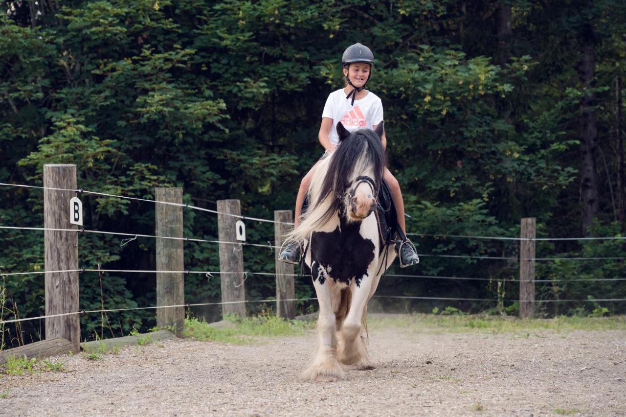 Familienbauernhof Samerhof Pfarrwerfen Kültér fotó