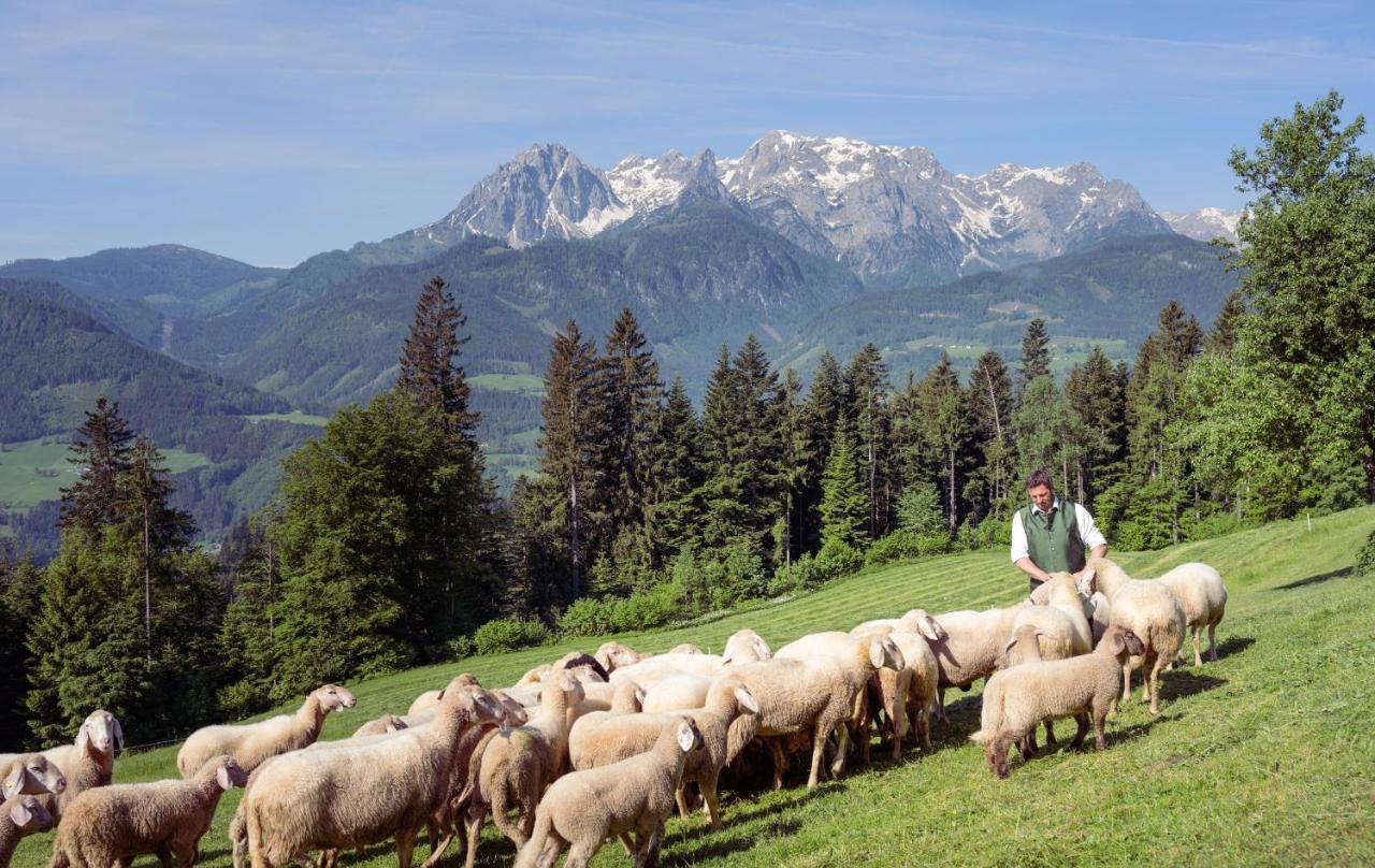 Familienbauernhof Samerhof Pfarrwerfen Kültér fotó