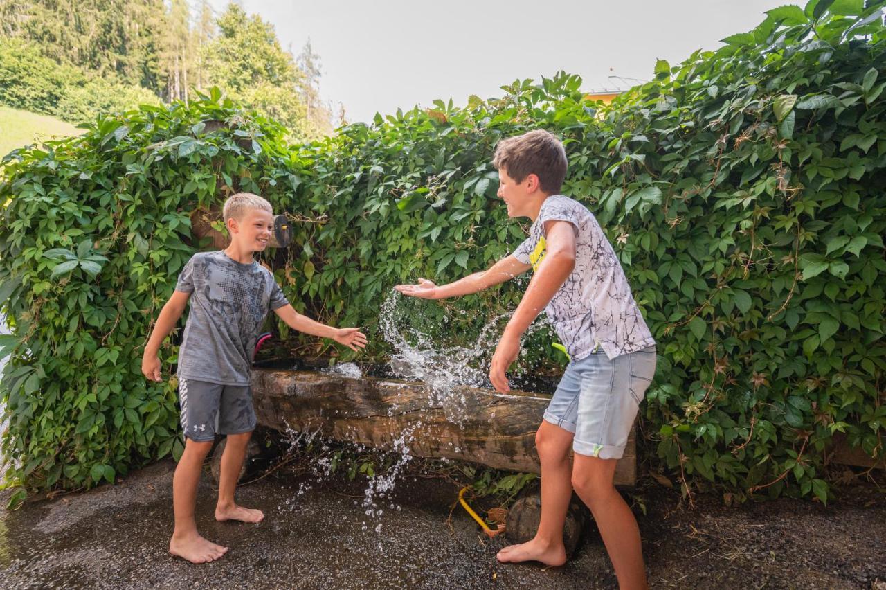 Familienbauernhof Samerhof Pfarrwerfen Kültér fotó
