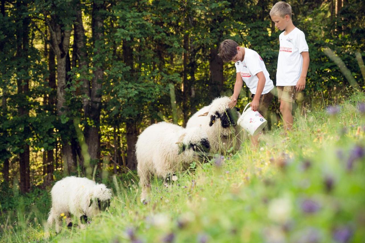 Familienbauernhof Samerhof Pfarrwerfen Kültér fotó