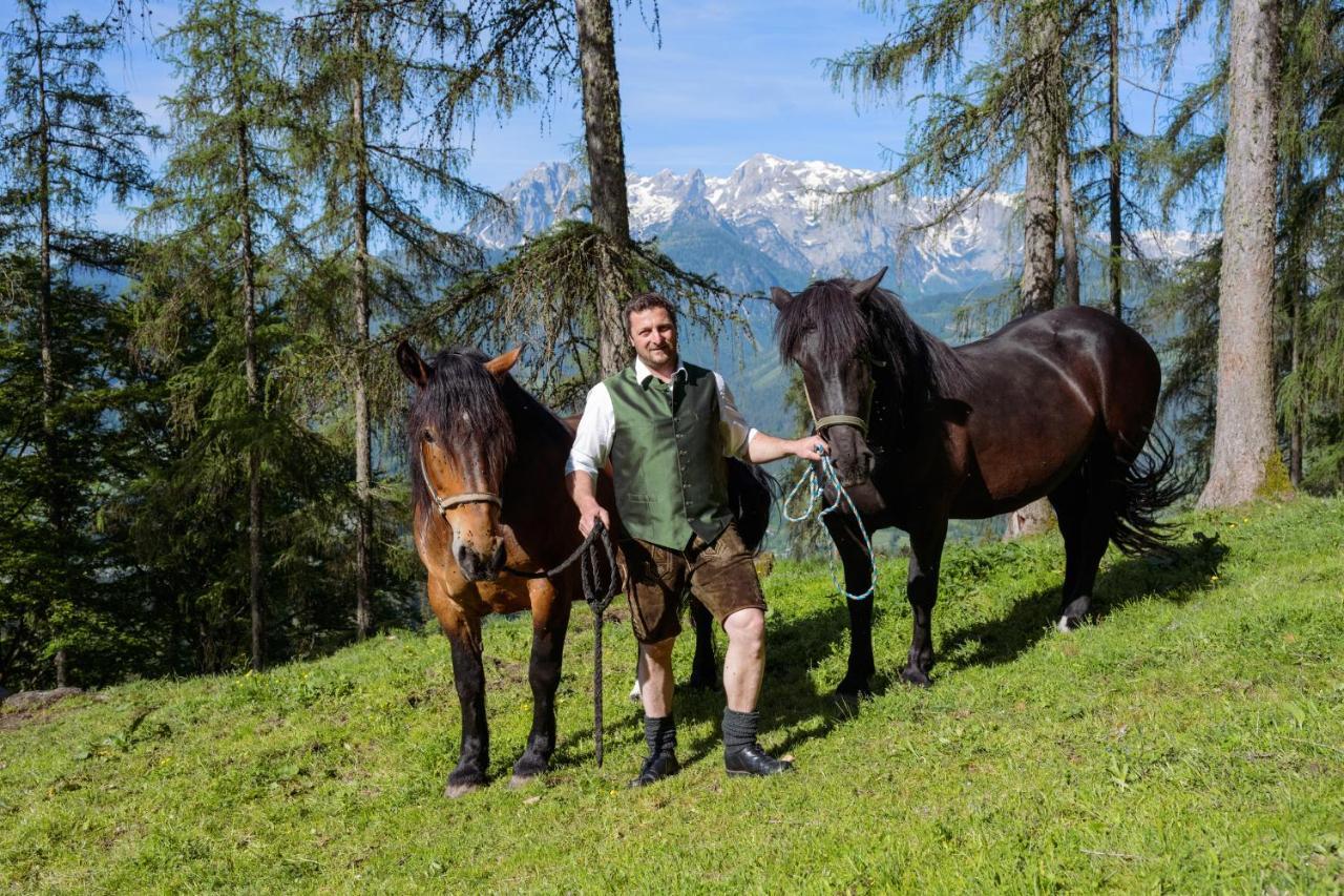 Familienbauernhof Samerhof Pfarrwerfen Kültér fotó