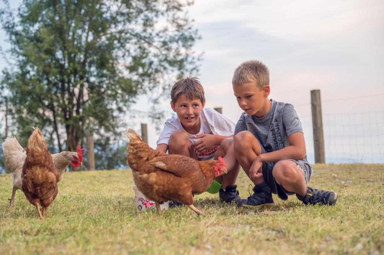Familienbauernhof Samerhof Pfarrwerfen Kültér fotó