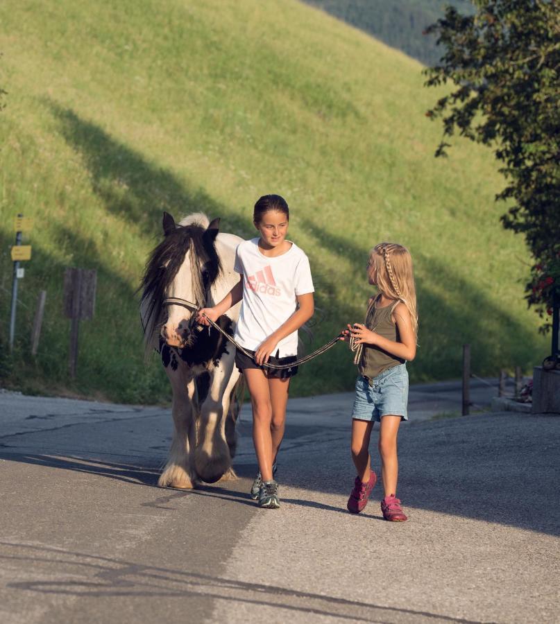 Familienbauernhof Samerhof Pfarrwerfen Kültér fotó