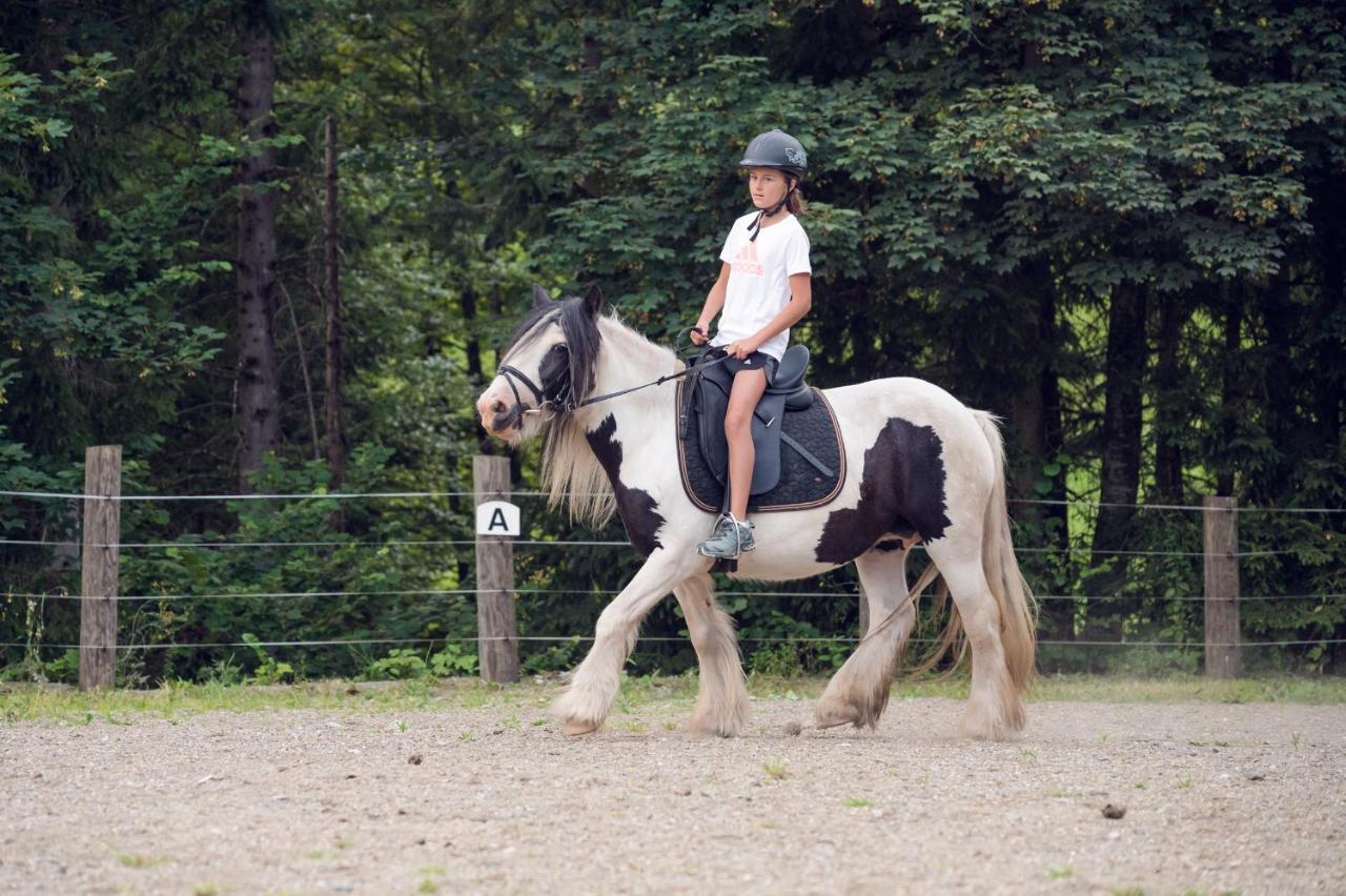 Familienbauernhof Samerhof Pfarrwerfen Kültér fotó