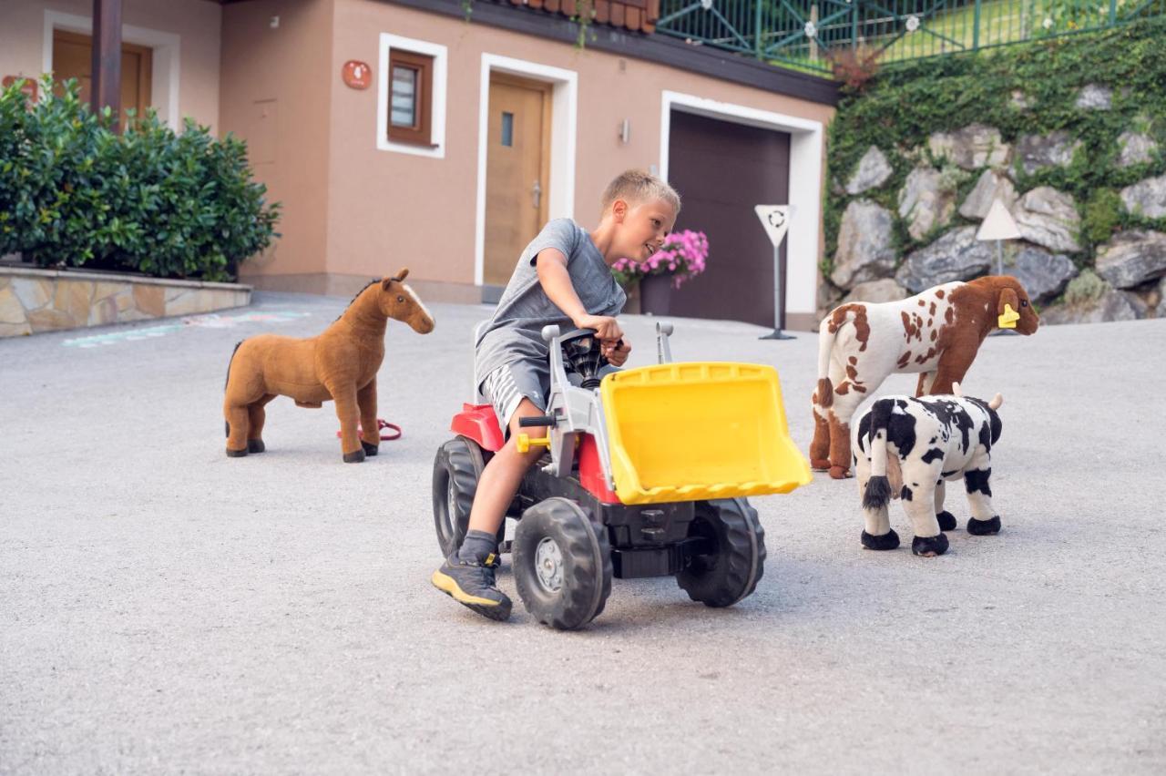 Familienbauernhof Samerhof Pfarrwerfen Kültér fotó