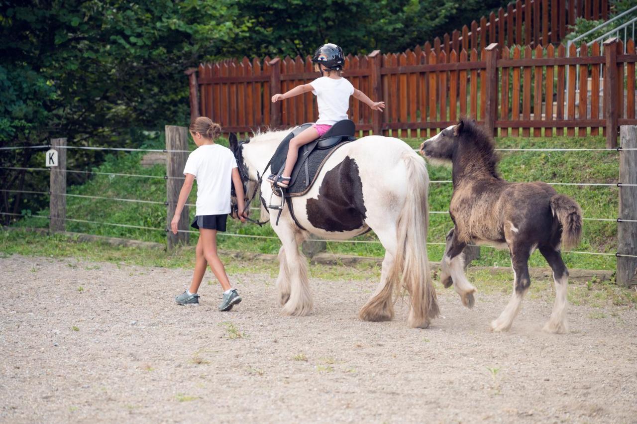 Familienbauernhof Samerhof Pfarrwerfen Kültér fotó