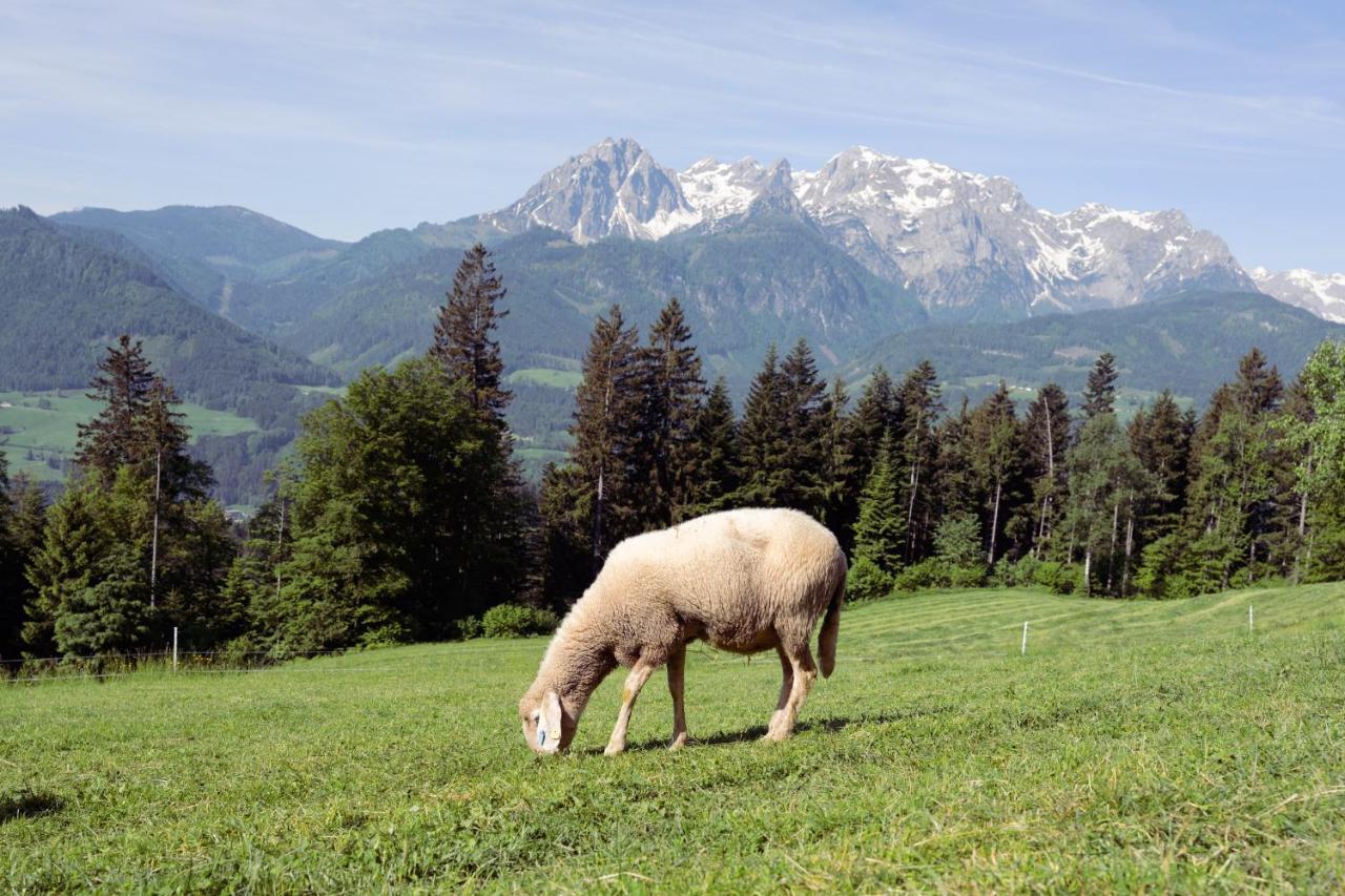 Familienbauernhof Samerhof Pfarrwerfen Kültér fotó