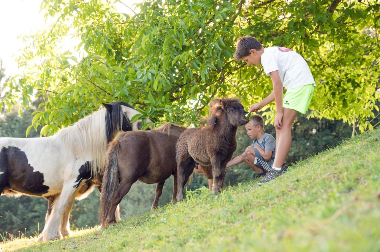 Familienbauernhof Samerhof Pfarrwerfen Kültér fotó