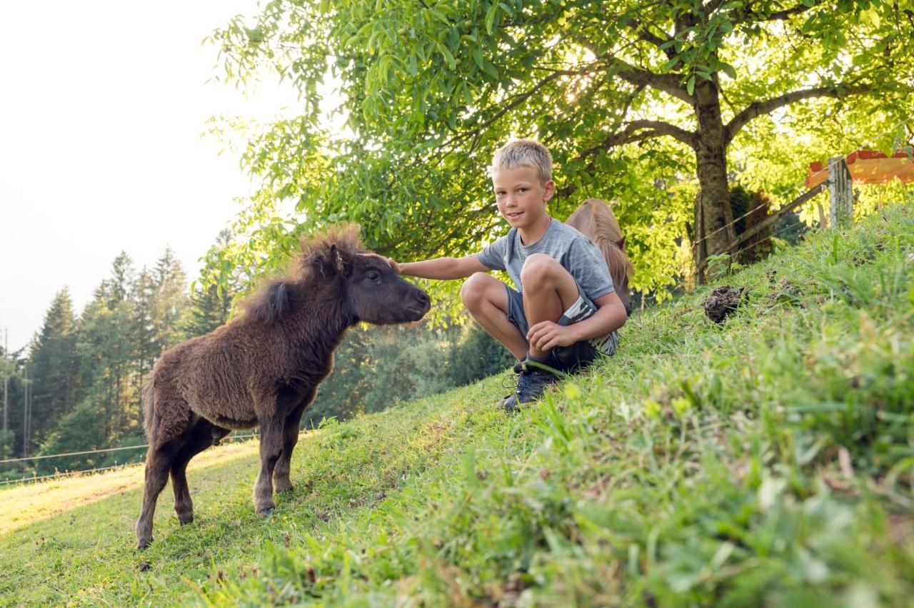 Familienbauernhof Samerhof Pfarrwerfen Kültér fotó