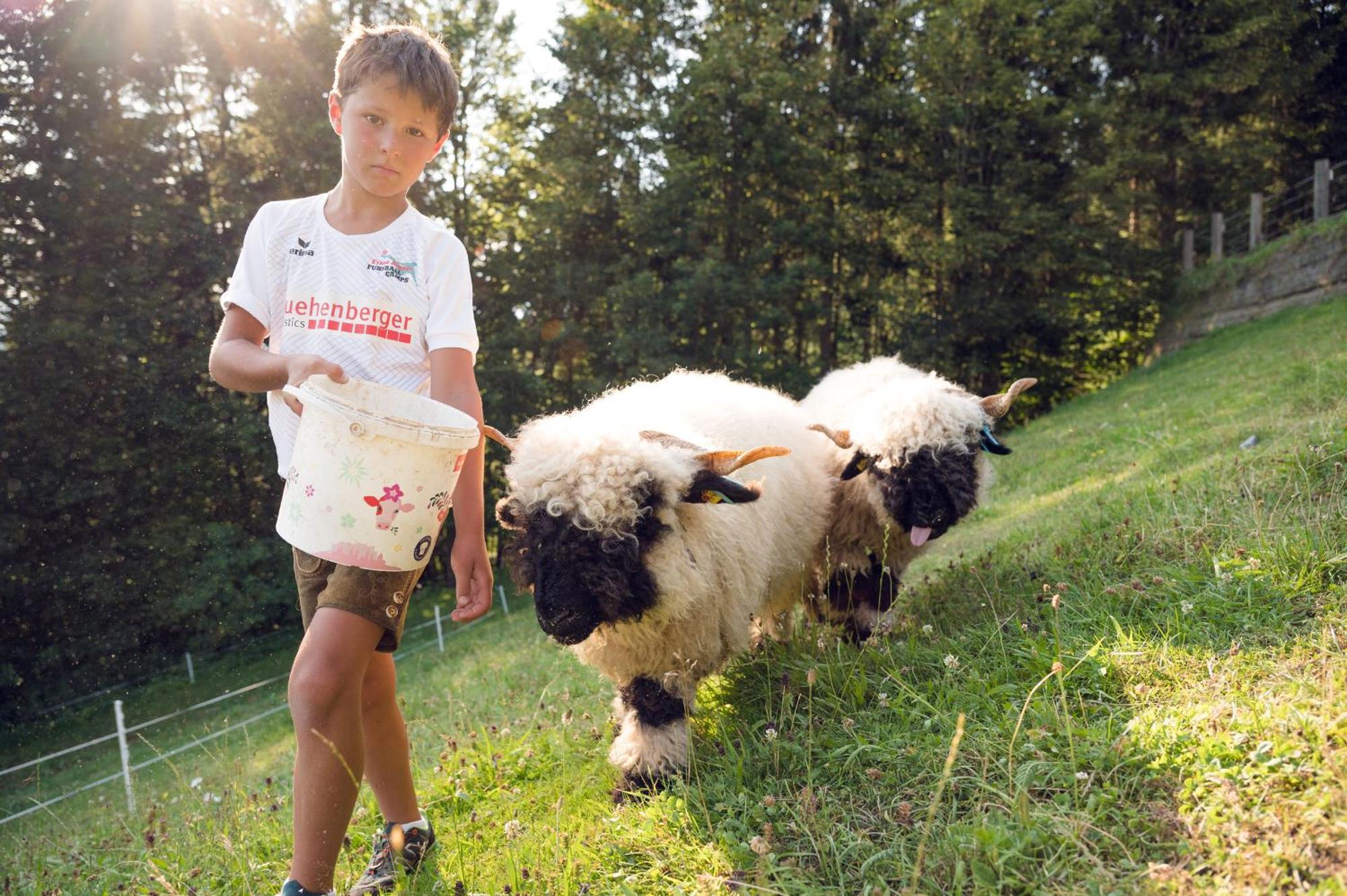 Familienbauernhof Samerhof Pfarrwerfen Kültér fotó