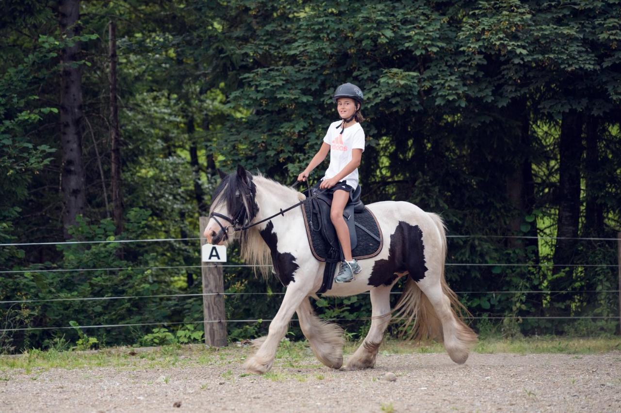 Familienbauernhof Samerhof Pfarrwerfen Kültér fotó