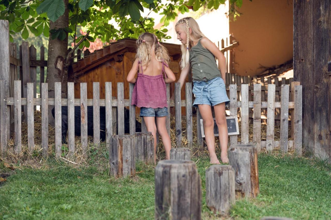 Familienbauernhof Samerhof Pfarrwerfen Kültér fotó