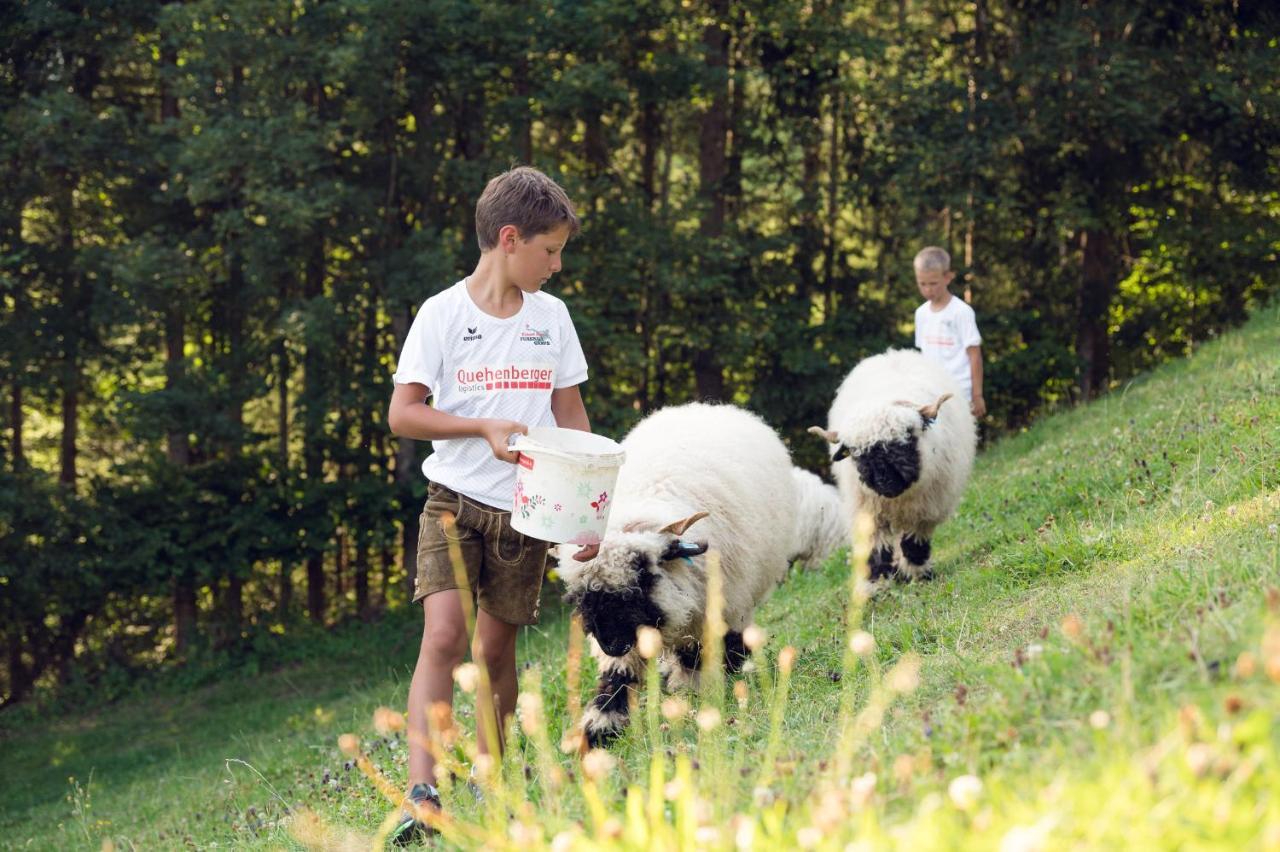 Familienbauernhof Samerhof Pfarrwerfen Kültér fotó