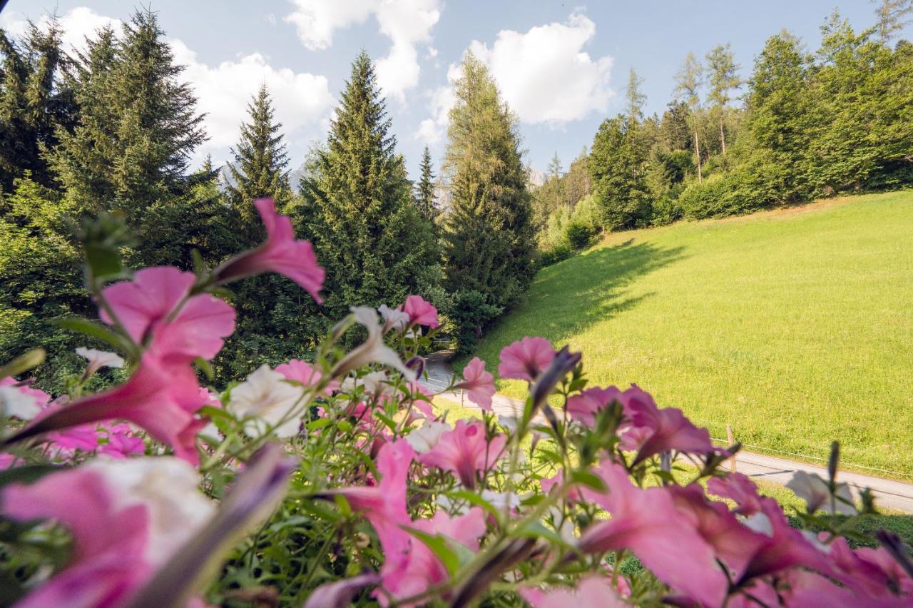Familienbauernhof Samerhof Pfarrwerfen Kültér fotó